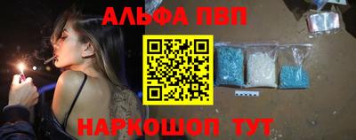 гашик Кингисепп