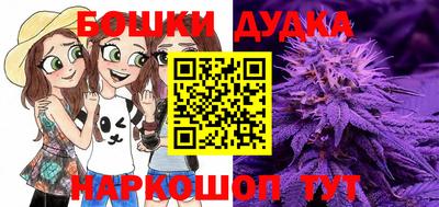 крисы Кимры