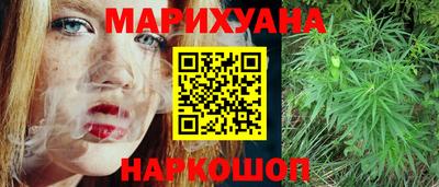 гашик Кингисепп