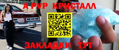 гашик Кингисепп