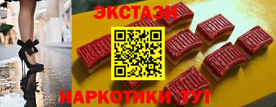 гашик Кингисепп