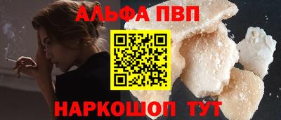 гашик Кингисепп