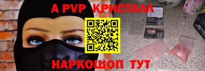 гашик Кингисепп
