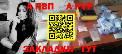 гашик Кингисепп