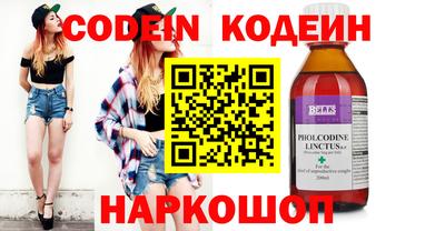гашик Кингисепп