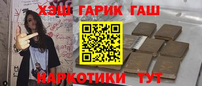 гашик Кингисепп