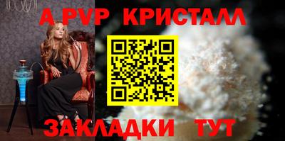 гашик Кингисепп