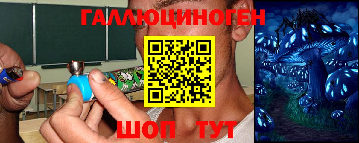 Псилоцибиновые грибы мицелий Красный Сулин